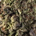 legal weed