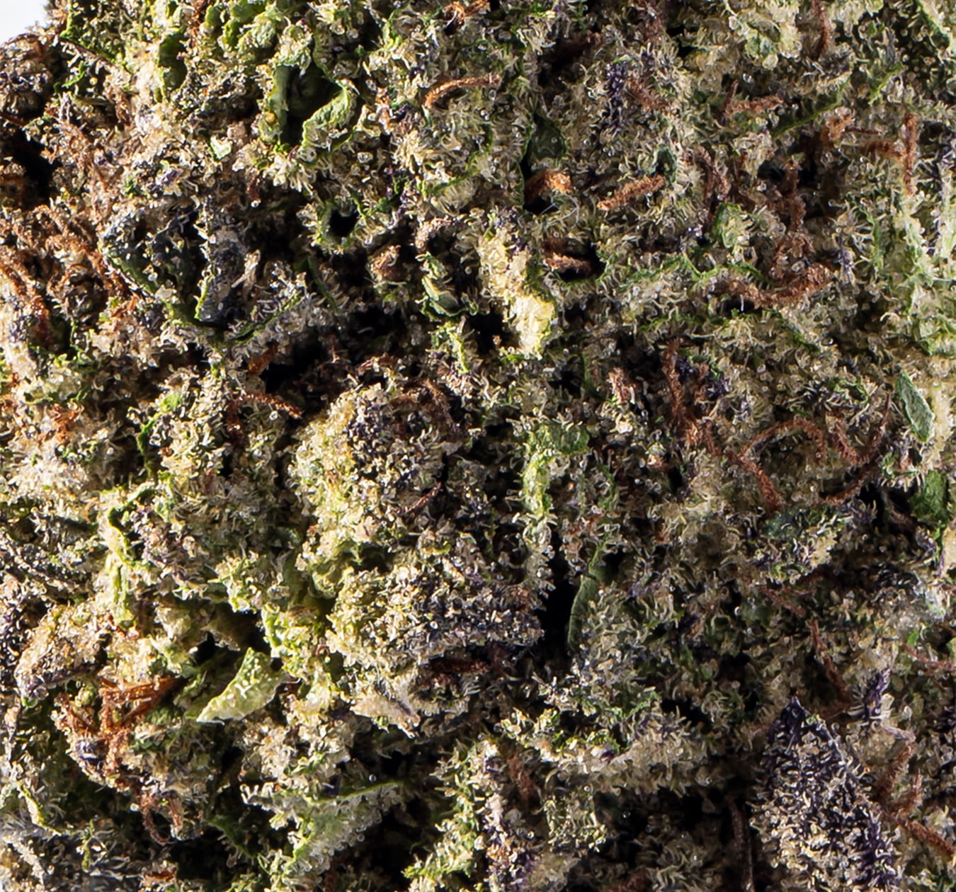 legal weed